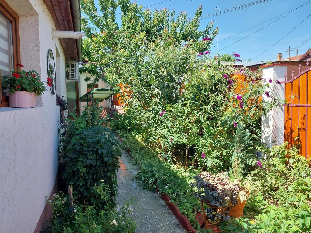 Casa Calin - Housity