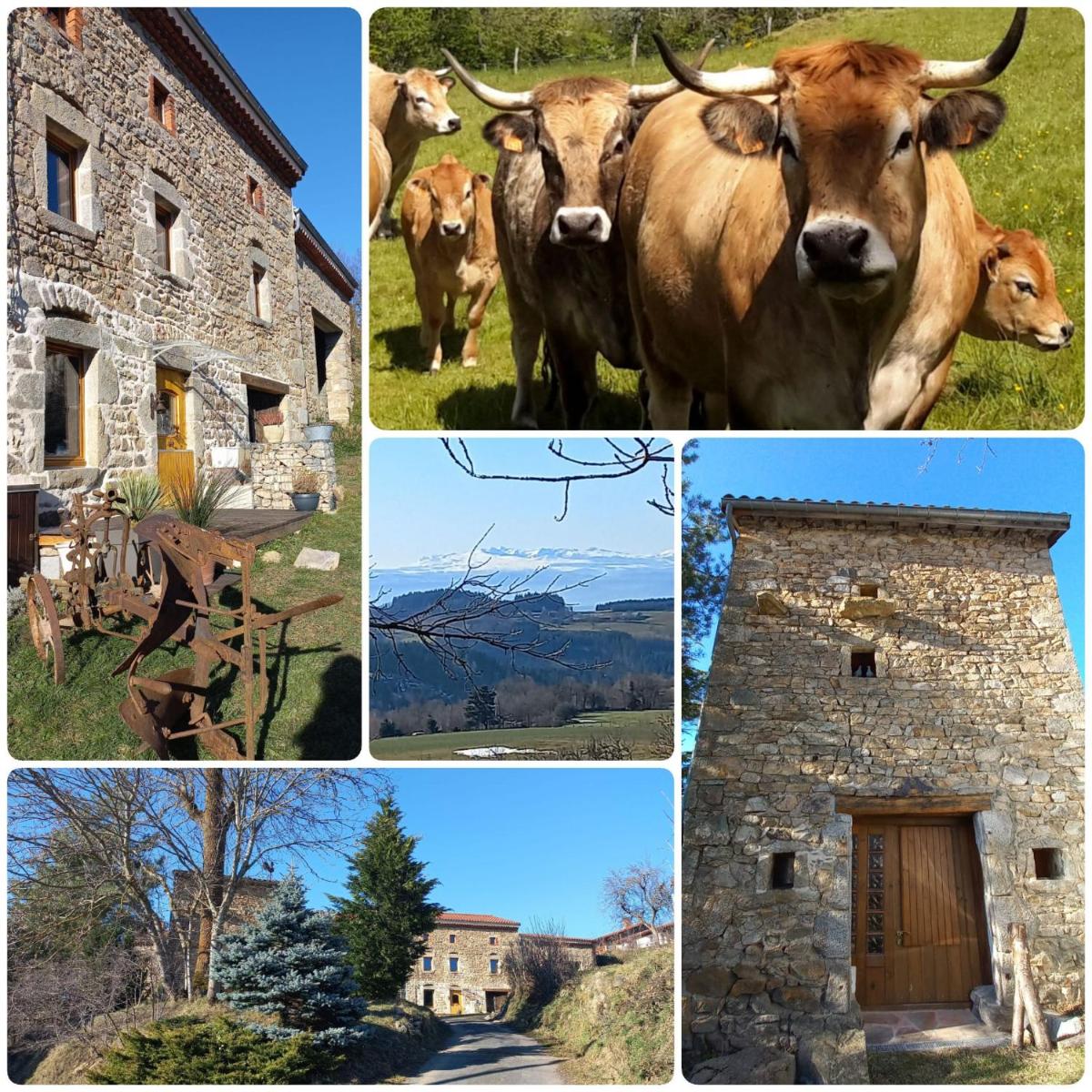 La Roucoule - Housity