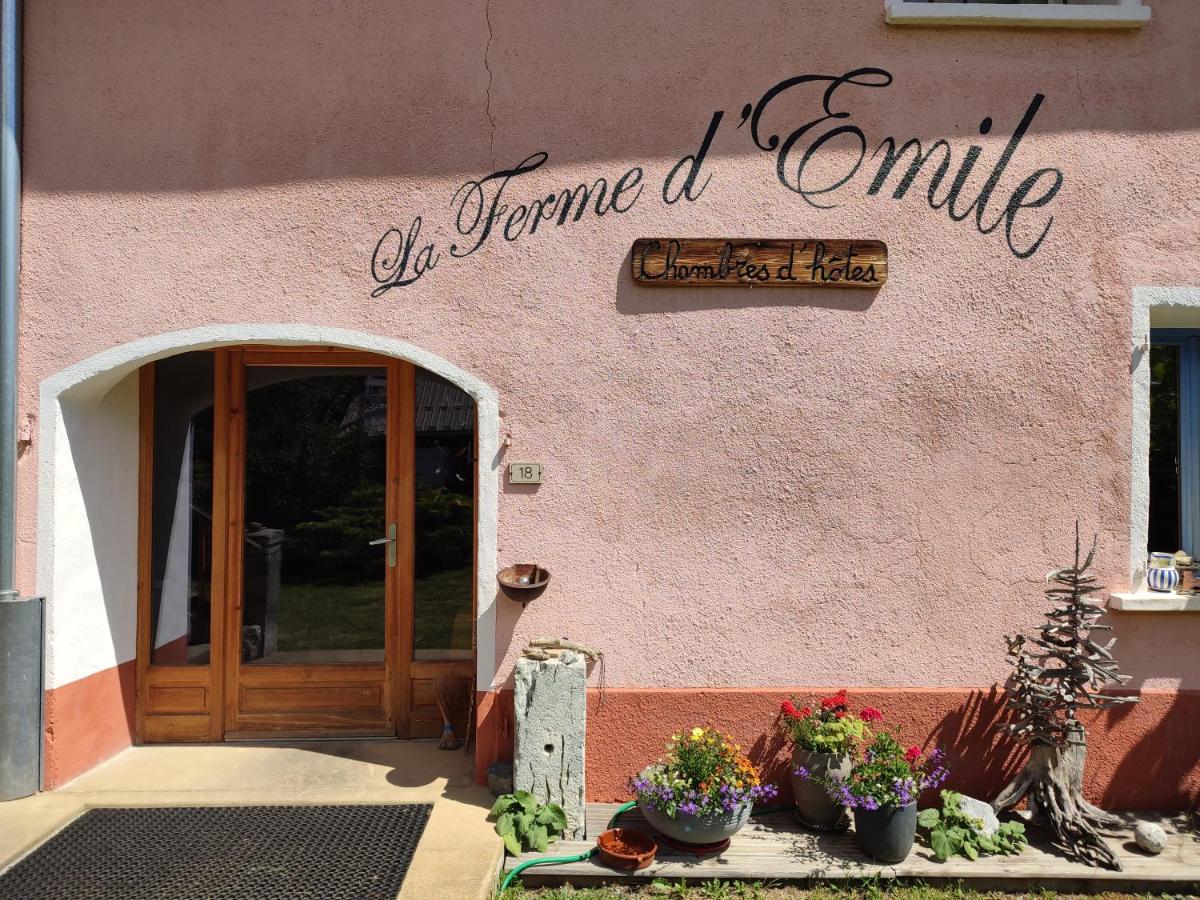 La Ferme d'Emile - Housity