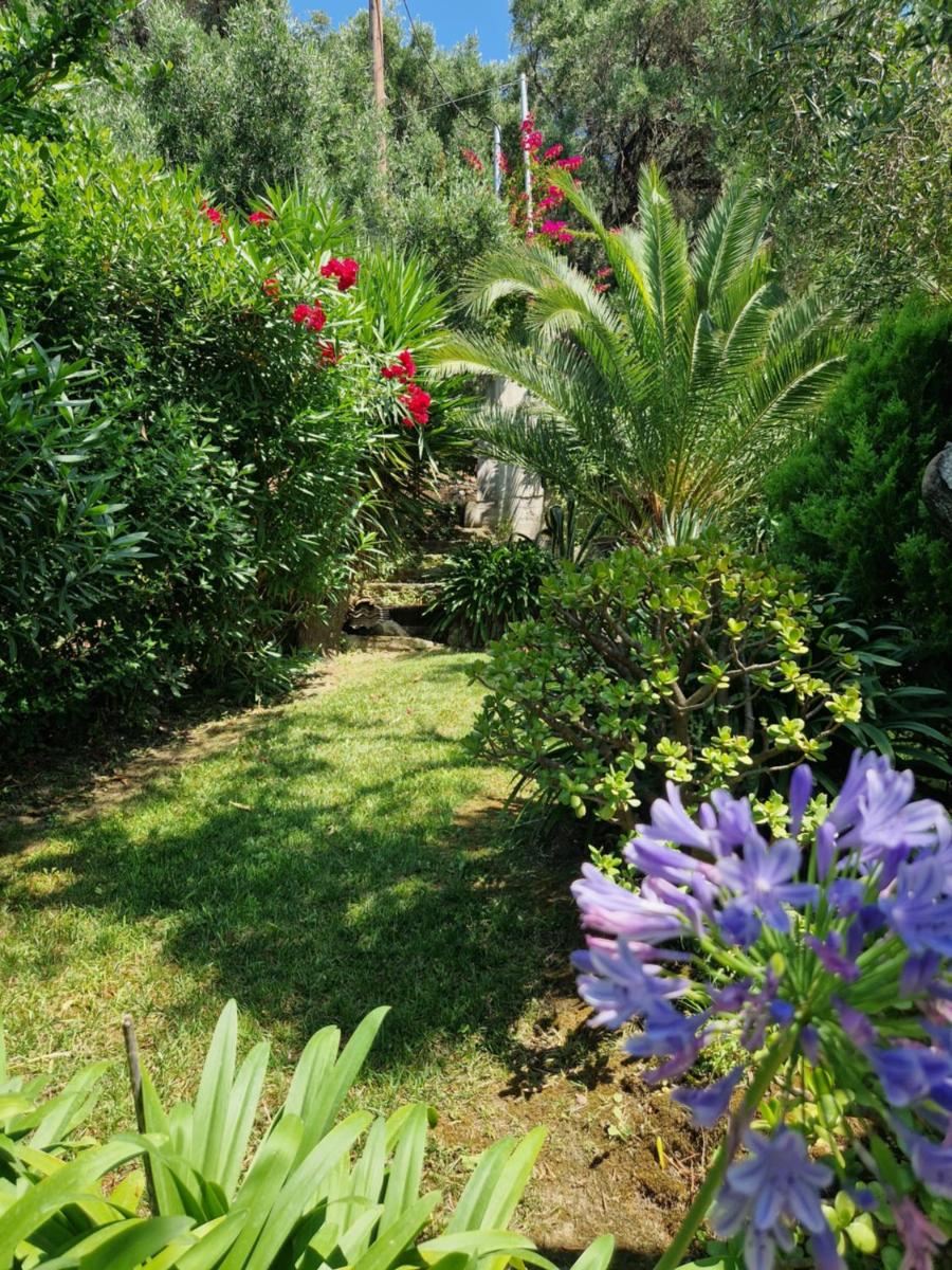 Villa Olivia - Housity