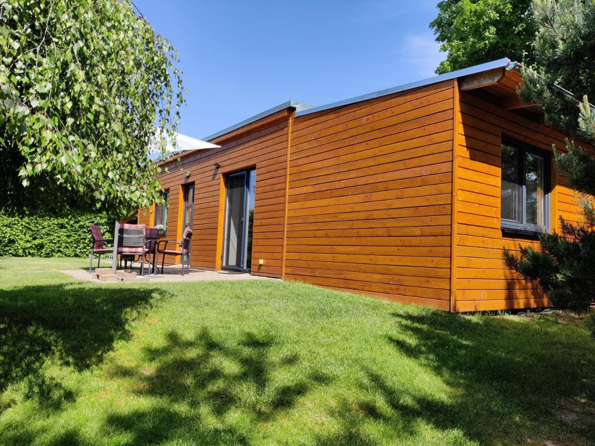 Apartman pod lipou - samostatny objekt - Housity
