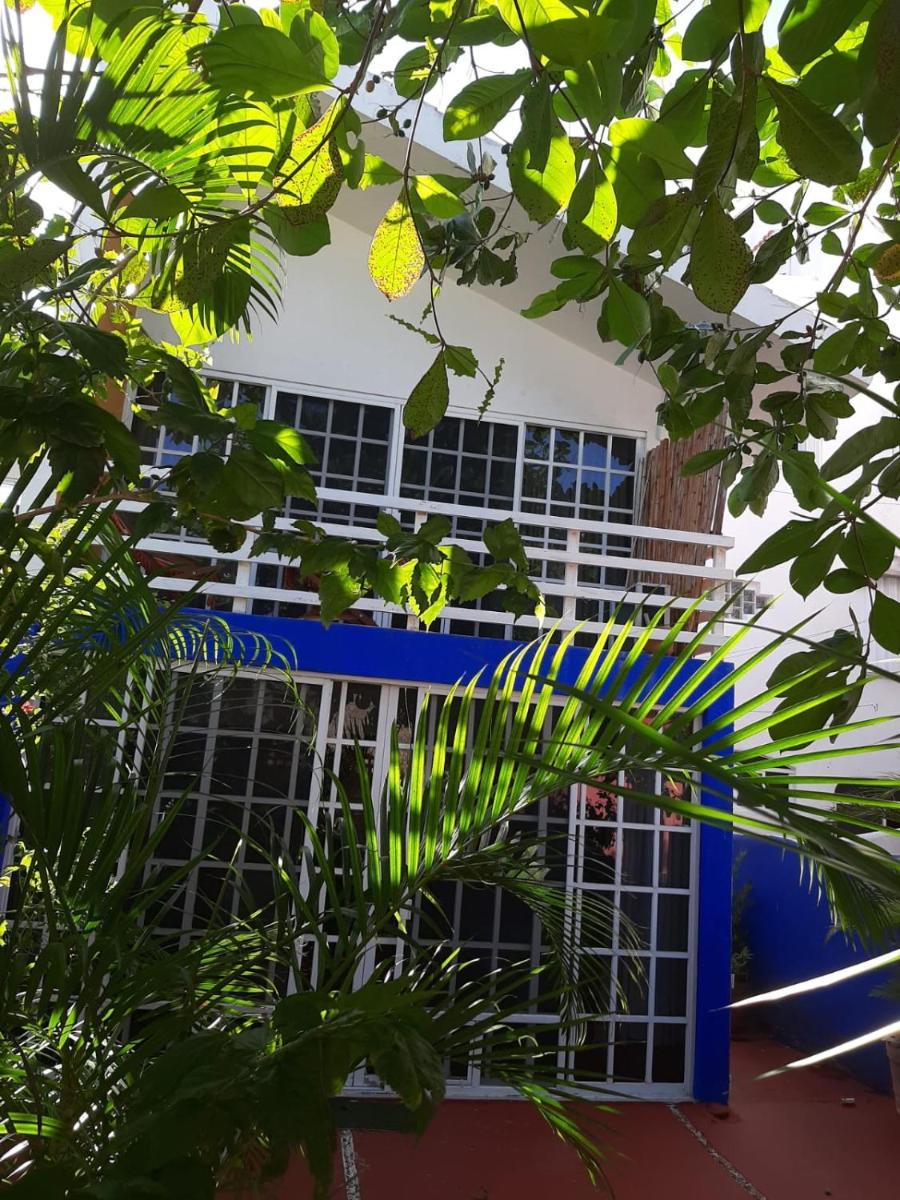 Exclusive Villa Pichi - Housity
