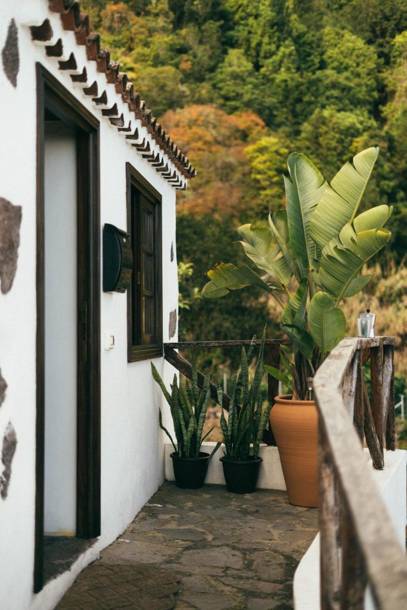 LAS CASITAS DEL BEBEDERO - Yoga & Ecoturismo - Housity