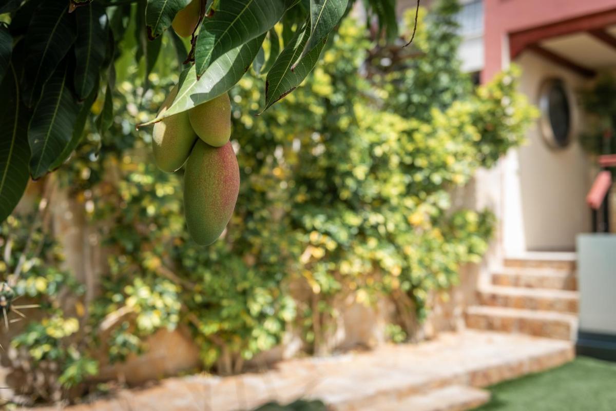 Comfortable 4-Bedroom Villa with Private Gardens - Housity