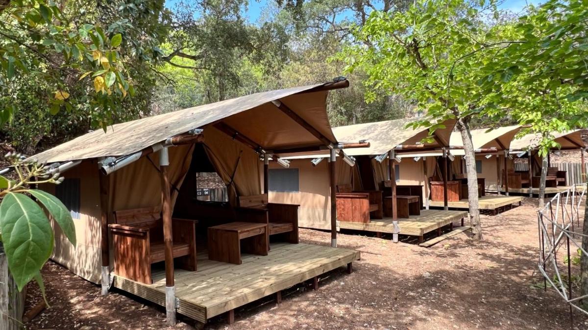 Pola Giverola Camp - Housity