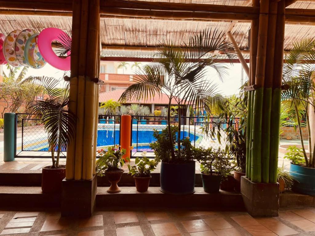 Leño Verde - Housity
