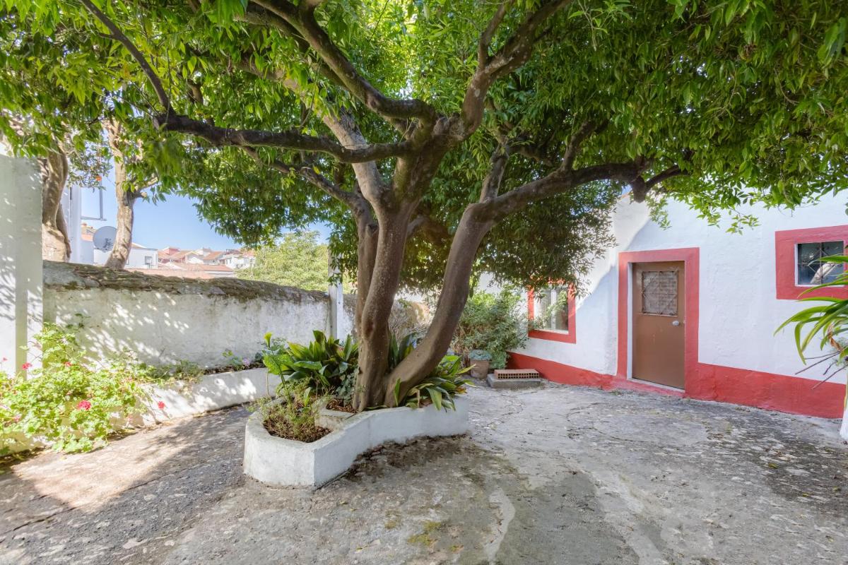 Dorothea House - Housity
