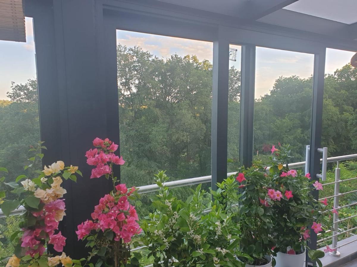 Cozy room with a beautiful garden view - Housity