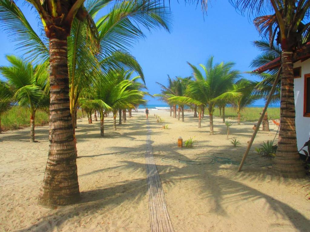 Con Todo, Canoa at the Coconut Hotel - Housity