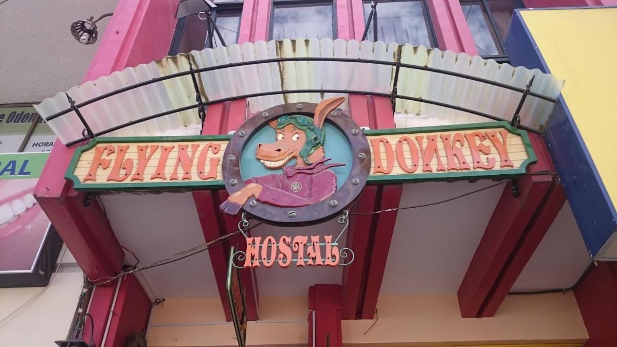 Flying Donkey - Housity