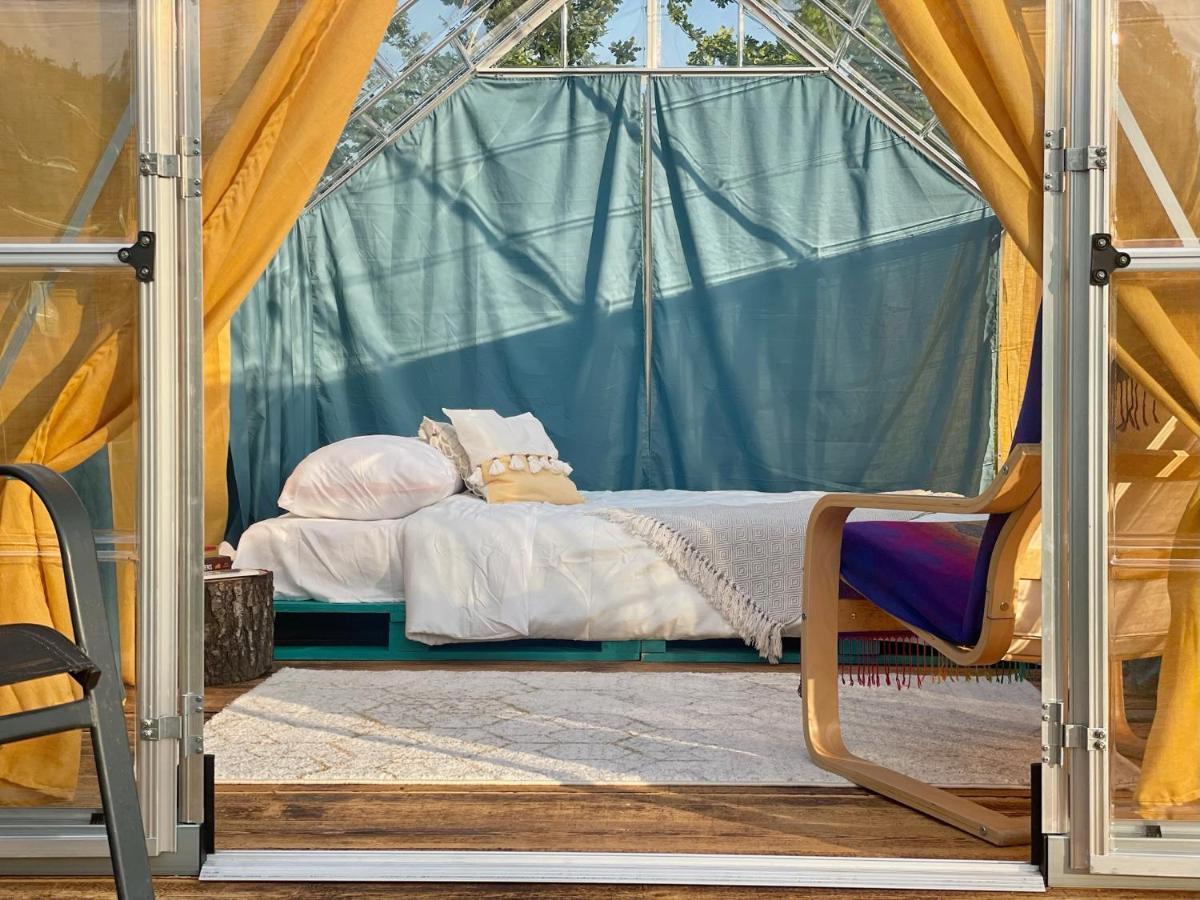 Langaland Glamping - Housity