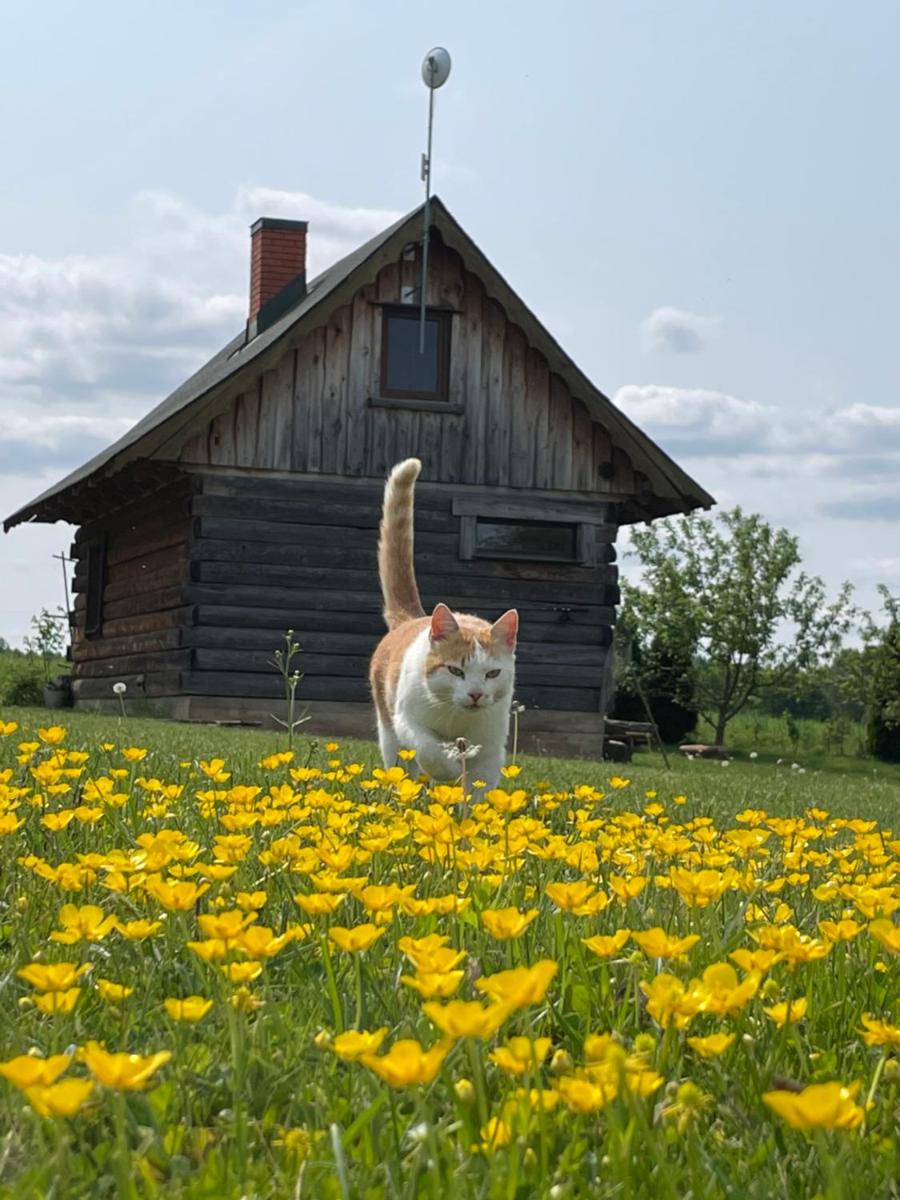 Gintaro pirtelė - Housity