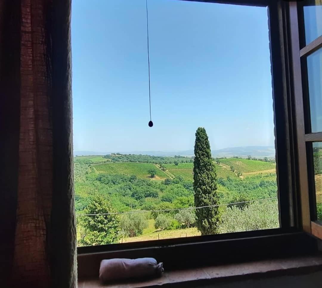 Agriturismo Salaiolo 176 - Housity