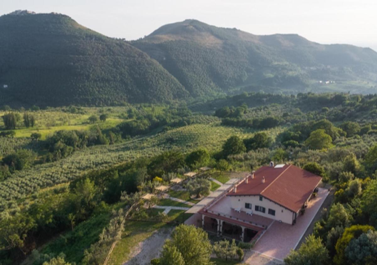 Agriturismo La Terrazza su Farfa - Housity