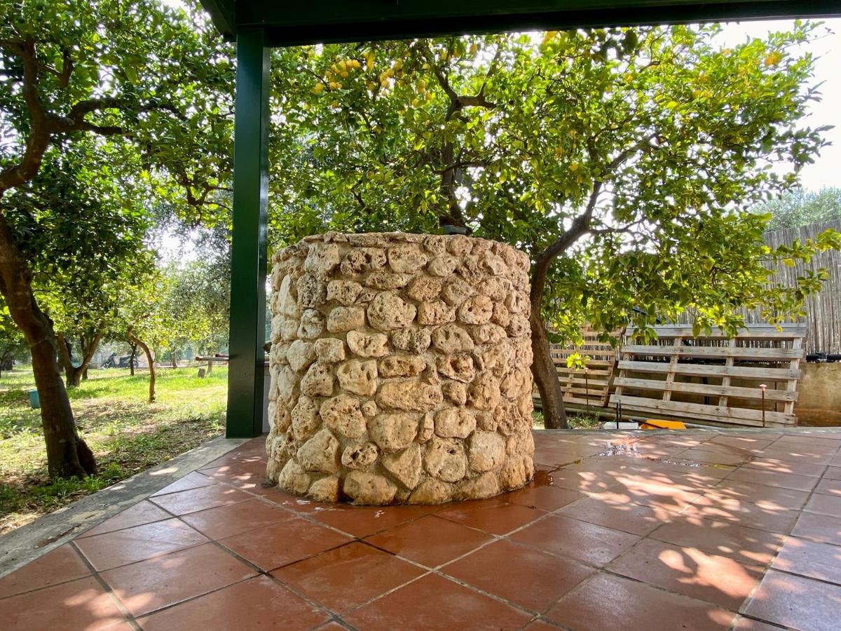 Villetta San Matteo - Housity