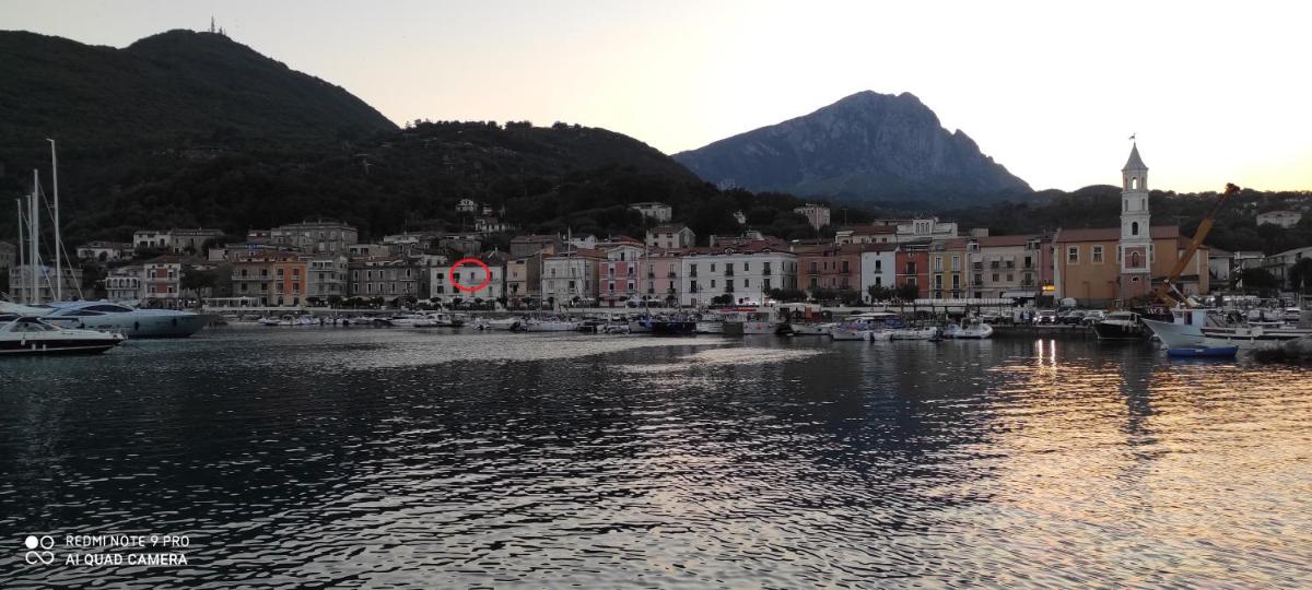 Scario Sunny Apartment in centro - Housity