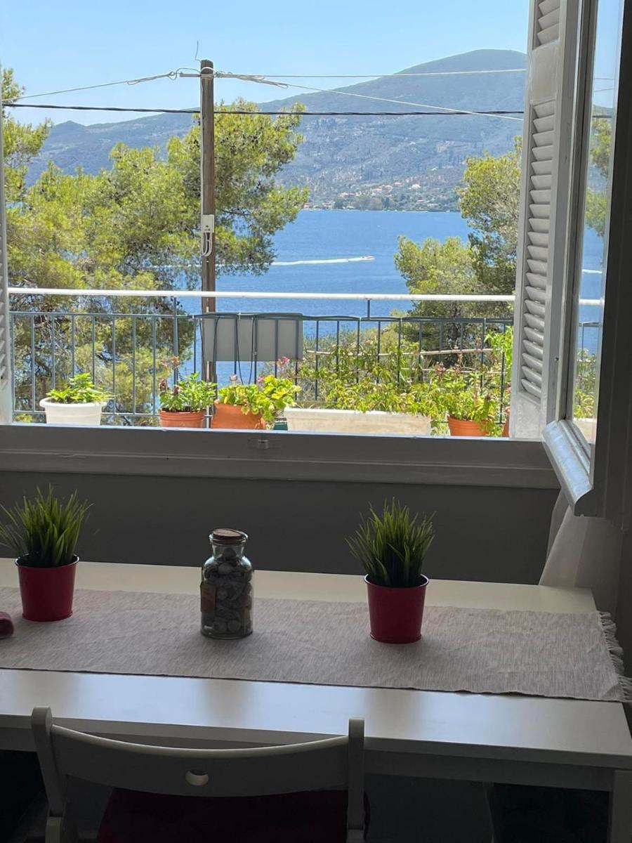 SERENITY yard apartment - Housity