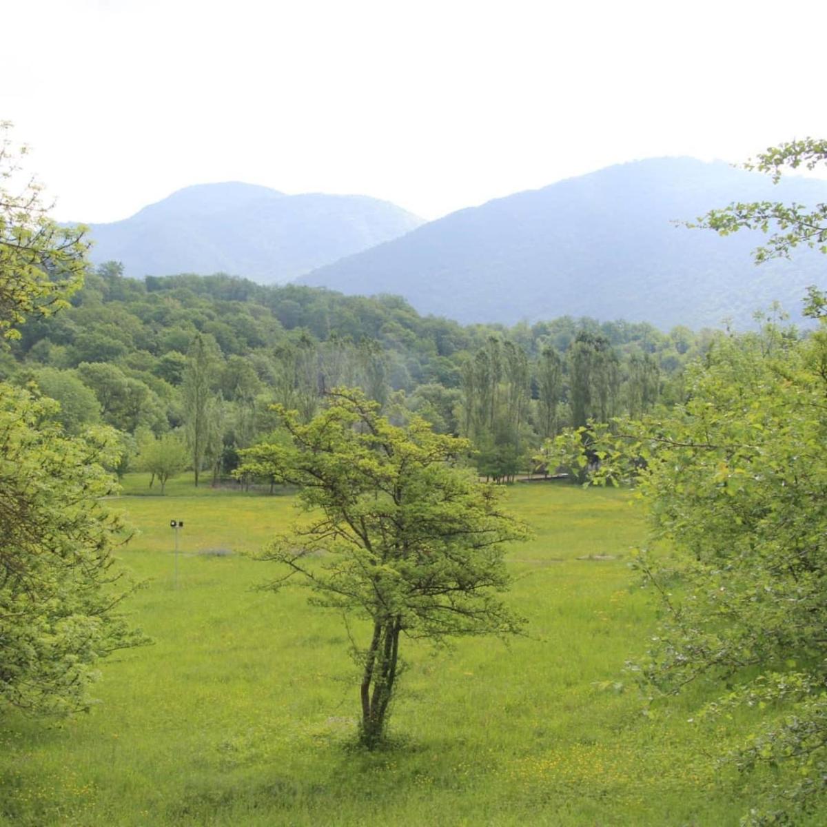 Grand Village - Housity