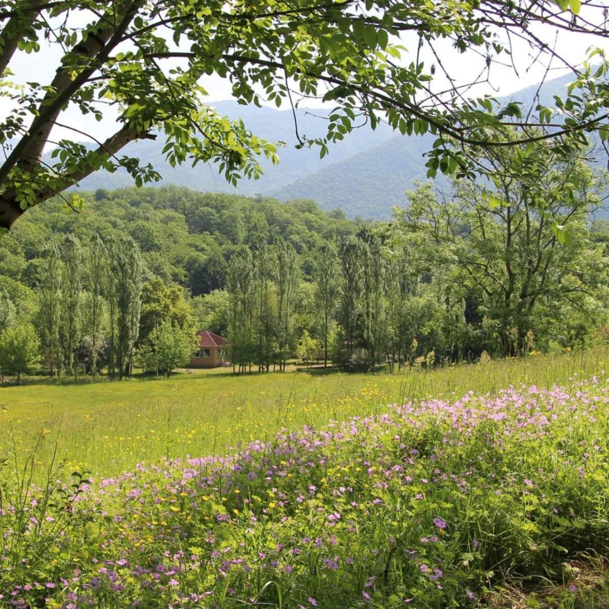 Grand Village - Housity