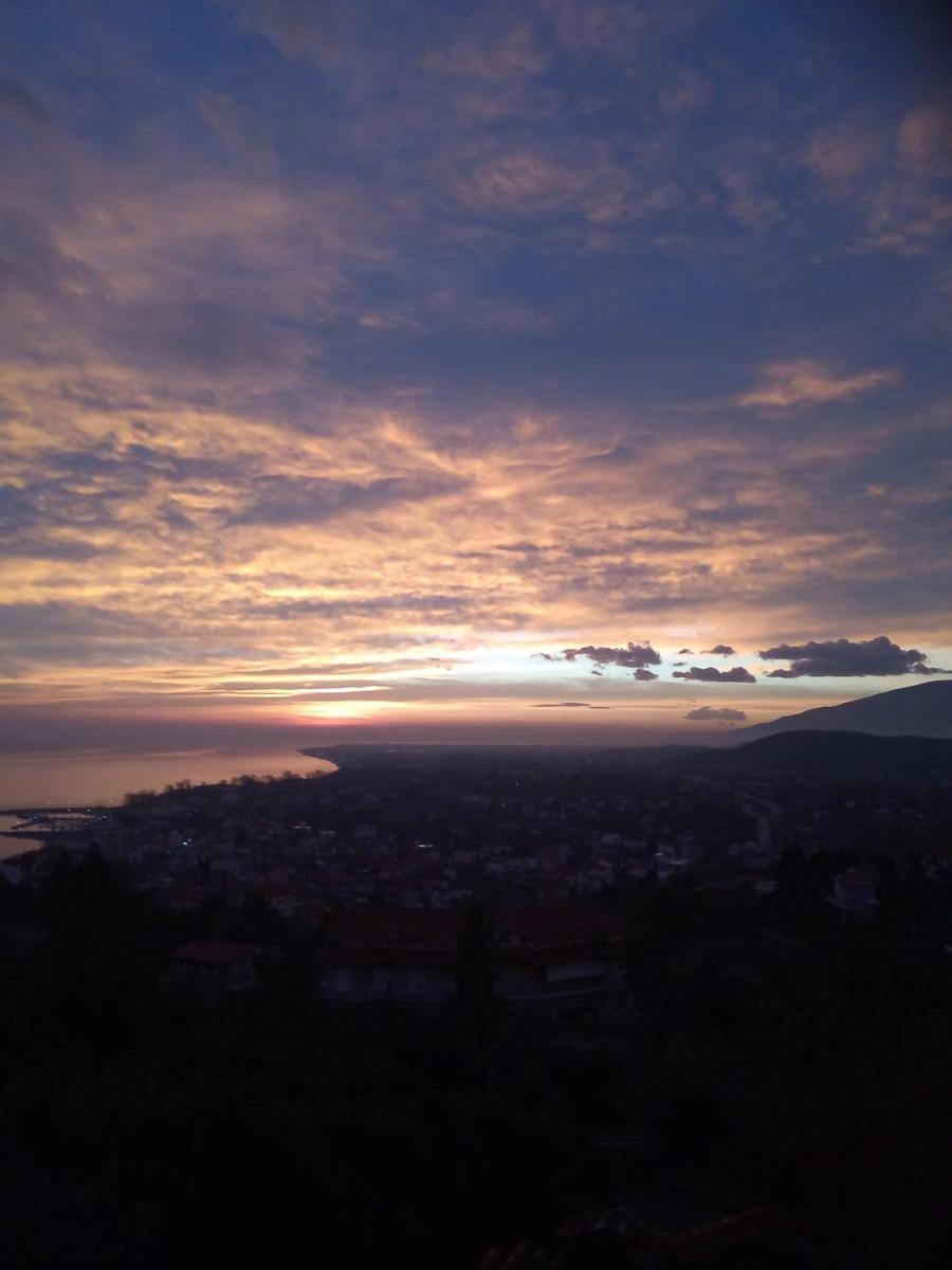 Villa Nestor - Housity