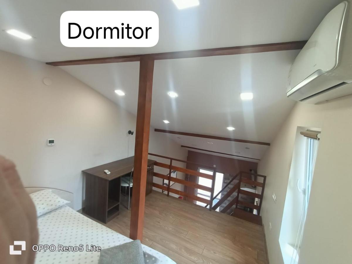 Casa Lucaciu - Housity