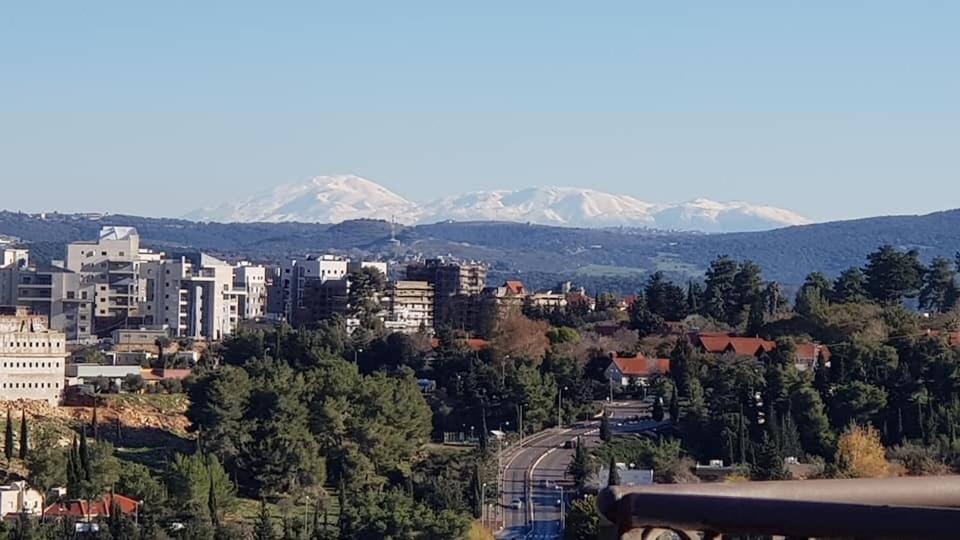 Suitetrails - סחלב פראי Wild Orchid Luxury Suites