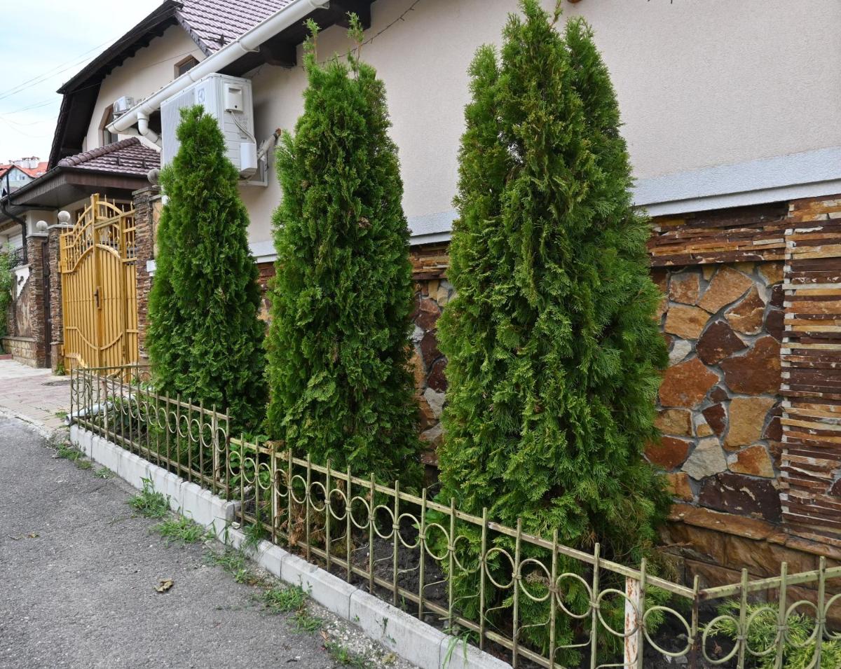 Bright and cozy home with personal terrace - Housity