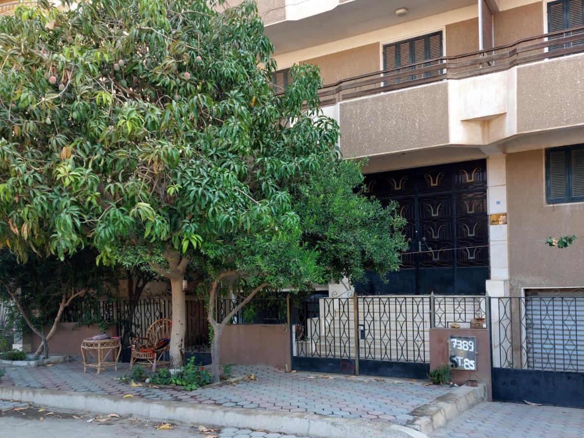 Safe House - Housity
