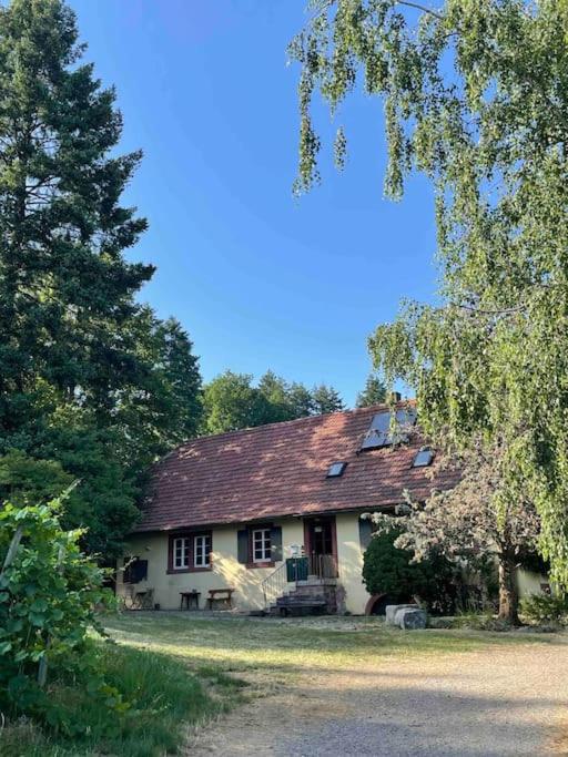 Rebhaus Durbach - Housity