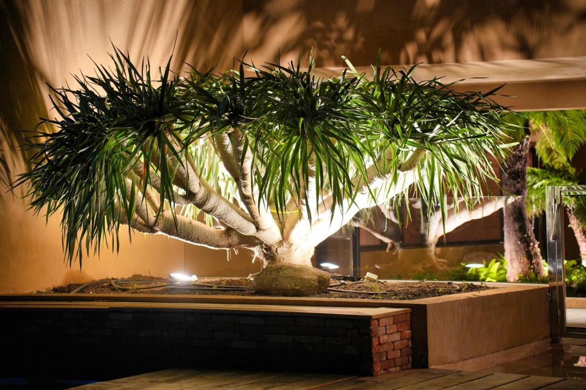 Jardin de l'établissement Les Regalia Hôtel & Spa