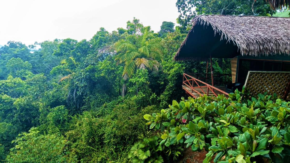 Suitetrails - Corcovado Private Villas - Corcovado Private Reserve