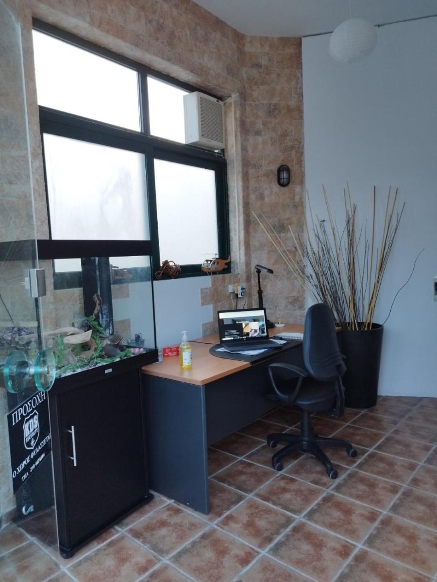 SENATORVIP - Housity