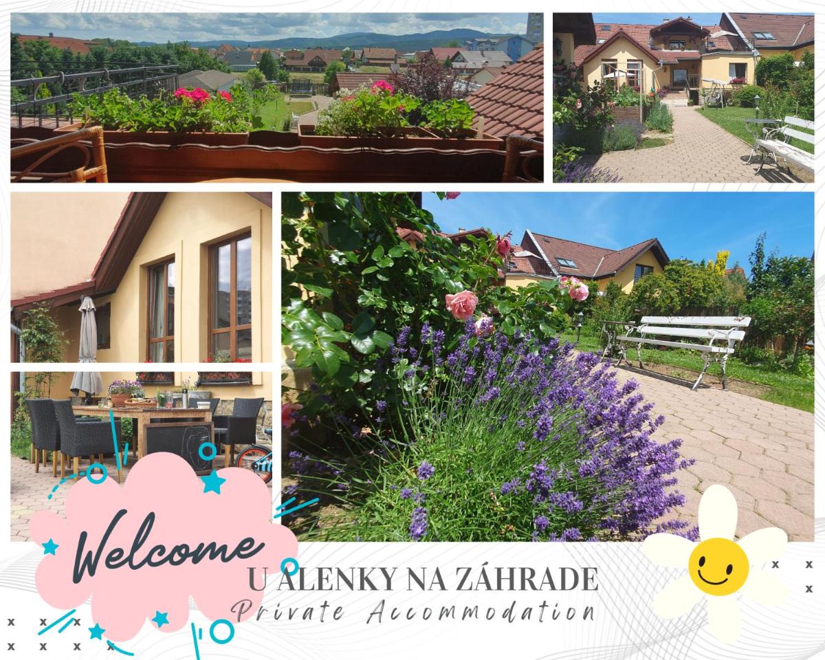 U Alenky na Záhrade - Housity