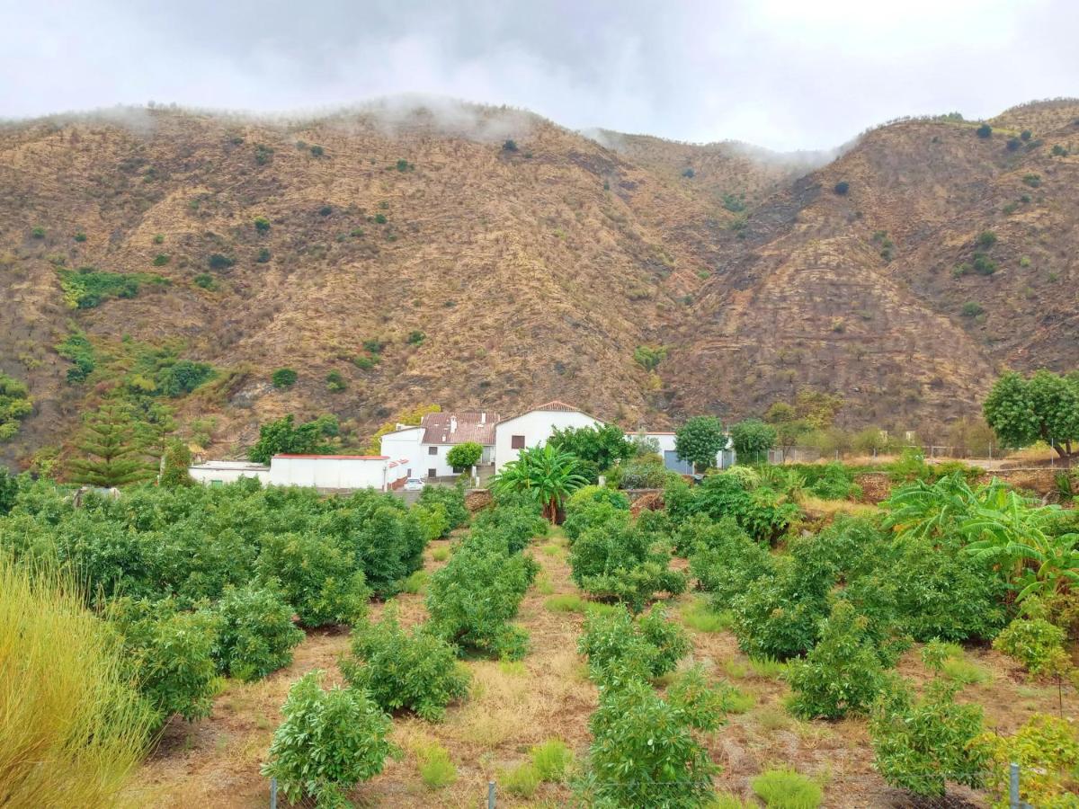 La Casita Azul - Casa típica andaluza - Housity