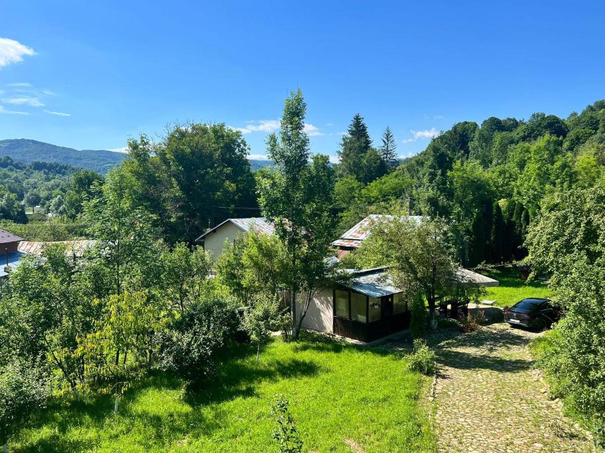 Cabana Bradului - Housity