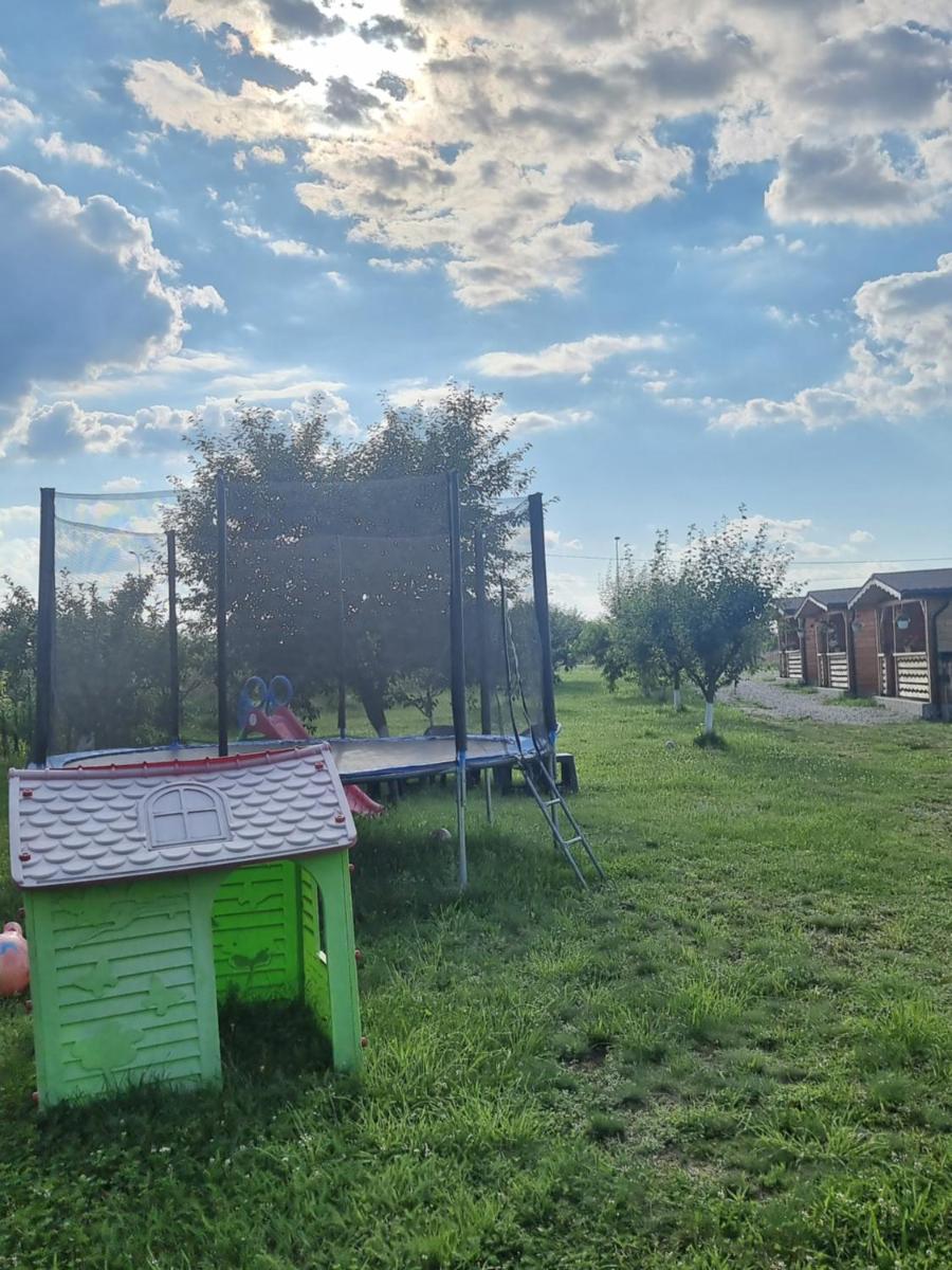 La căbănute - Housity