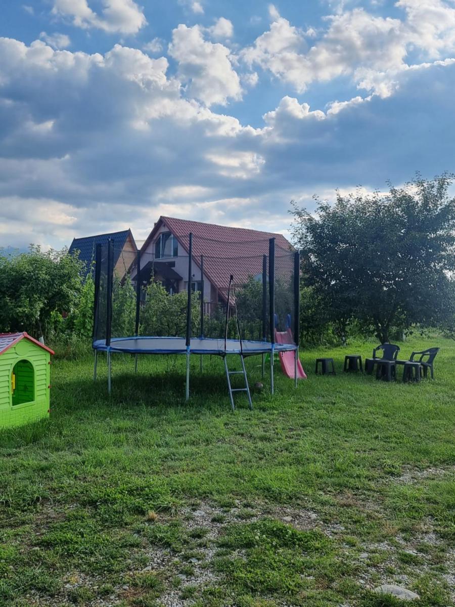 La căbănute - Housity