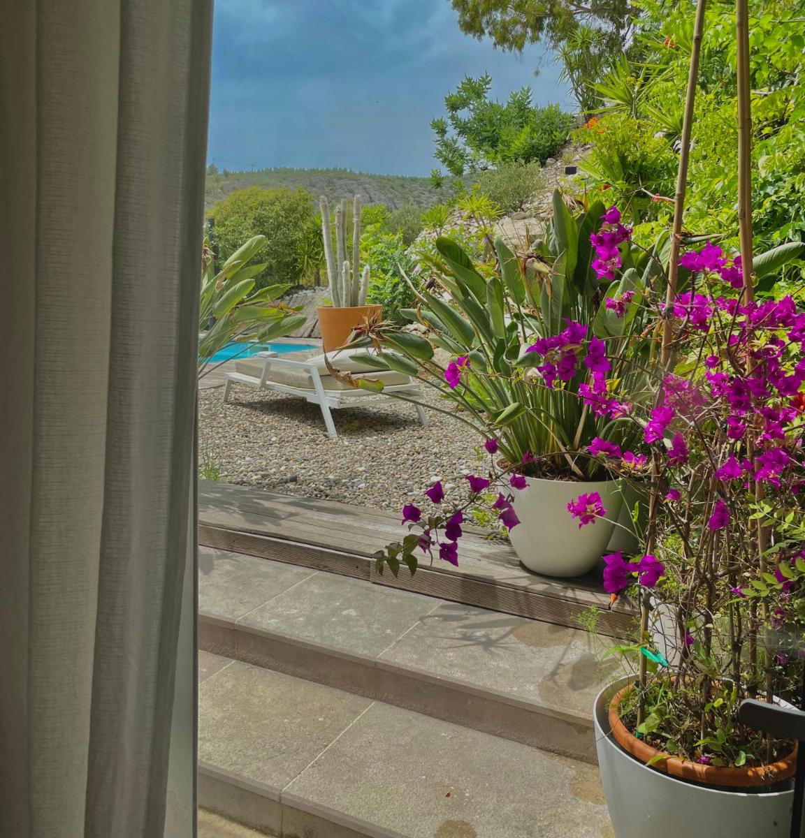 Jardin de l'établissement Hotel de La Plage - Mahogany