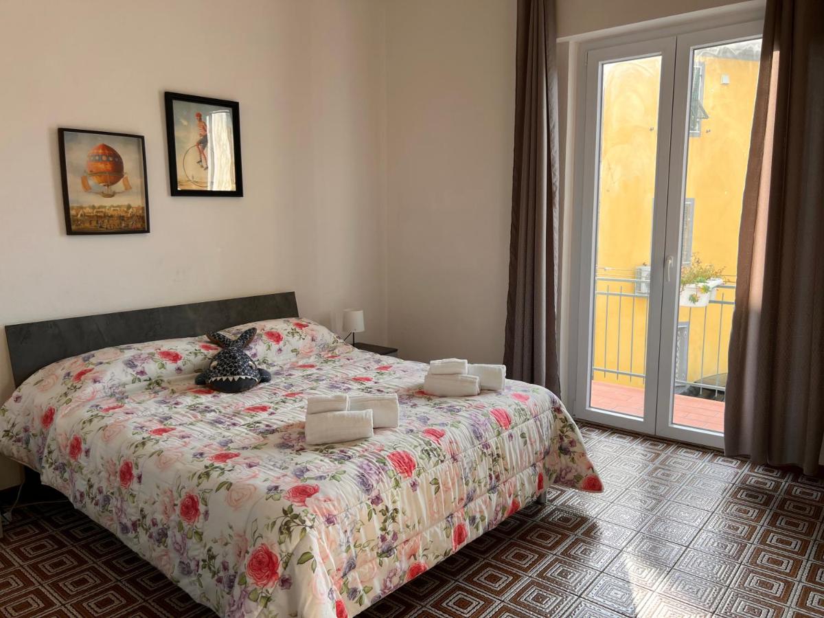 Gambero Blu - Housity