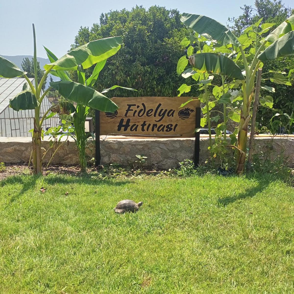 Fidelya Bungalow Evleri - Housity