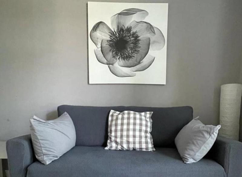 HD City Apartments - Housity
