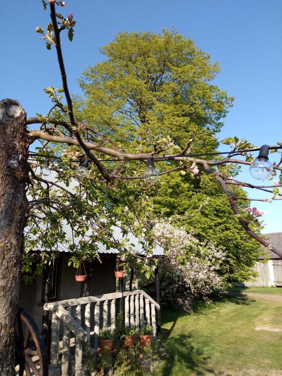 Wielka Lipa - Housity