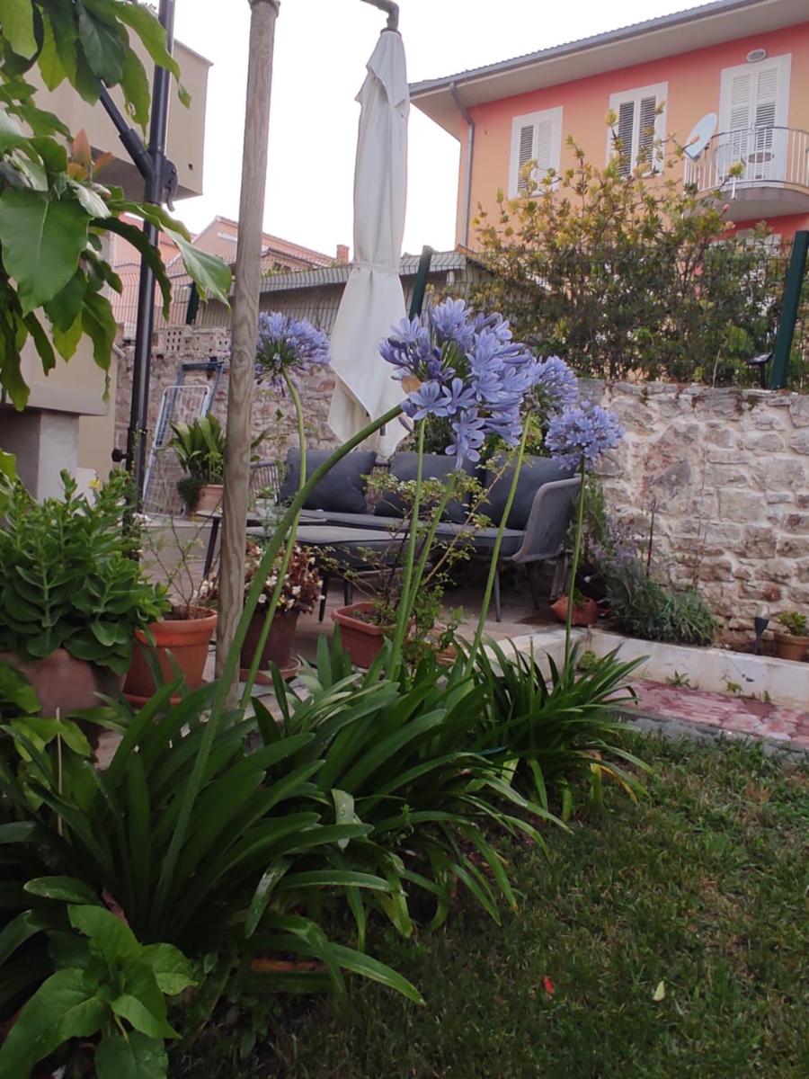 Podvršina1A Rosa - Housity