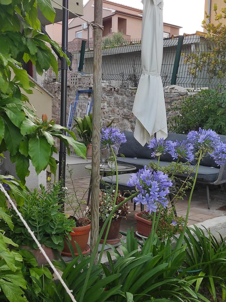 Podvršina1A Rosa - Housity