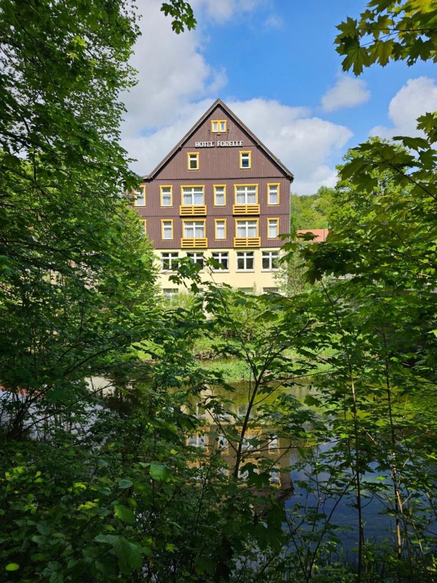 Ferienhotel Forelle Thale Ortsteil Treseburg - Housity