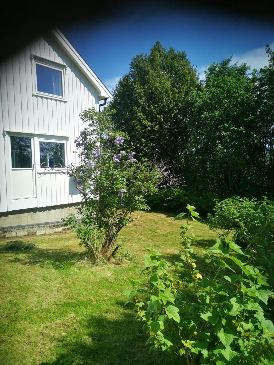 Utleiebolig Fannrem - Housity