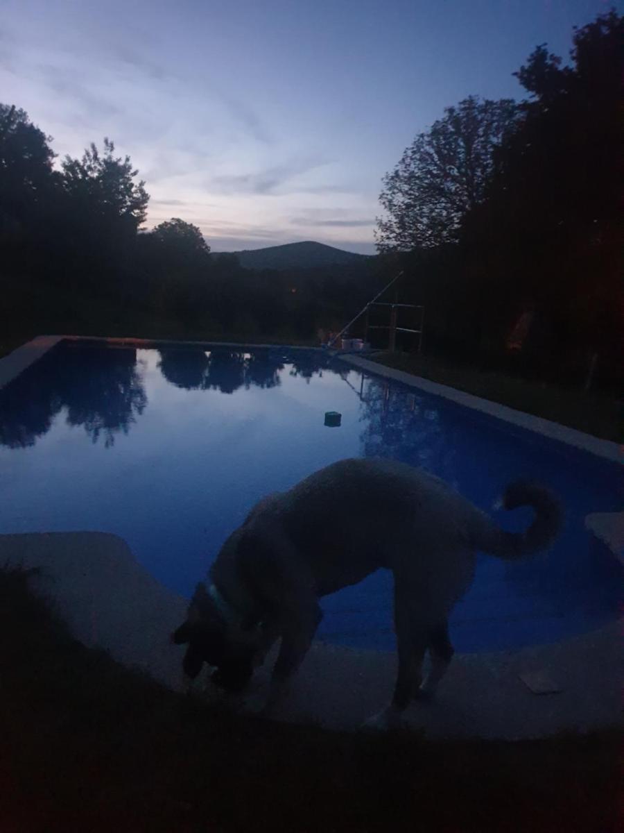 Casa Rural O Bergando - Housity