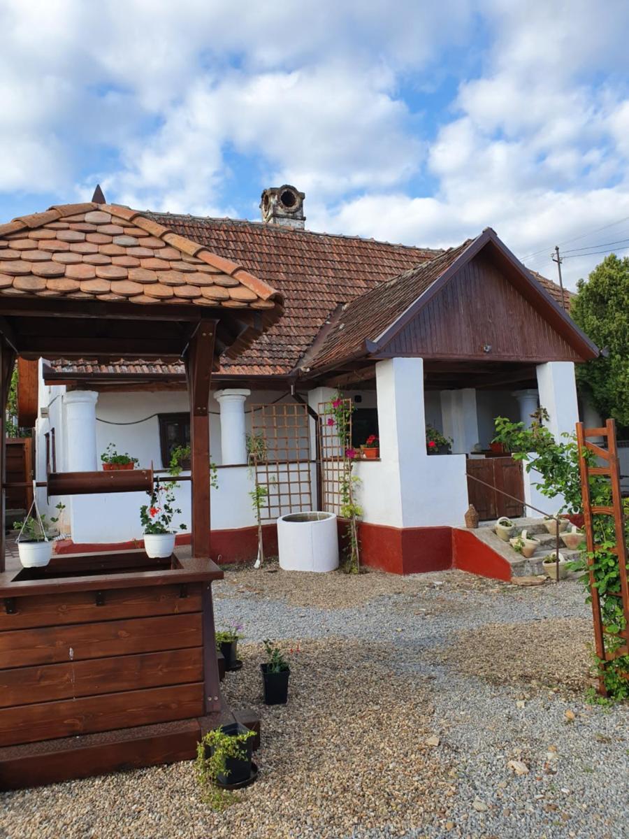 Pensiunea Aurelia - Housity