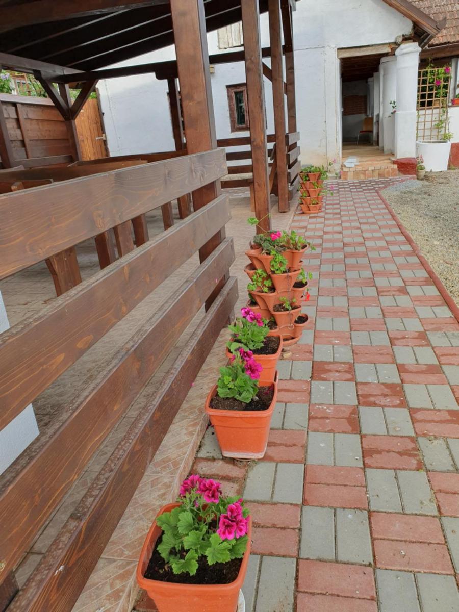 Pensiunea Aurelia - Housity