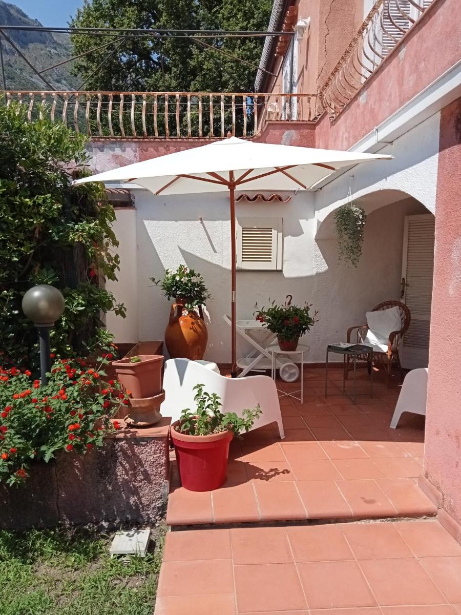 La Petite Maison - Housity